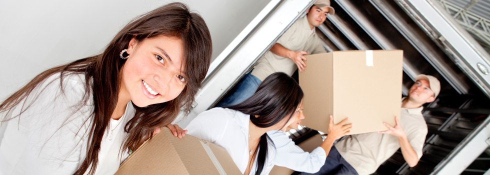 Professional Removalists Loxton